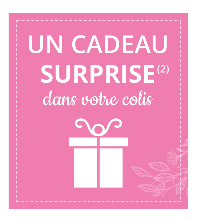 Un Cadeau Surprise