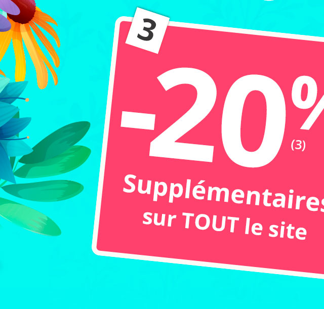 -20% supplémentaires