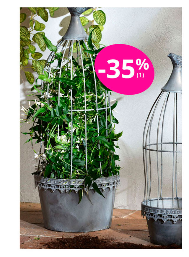 Guide-plantes topiaire