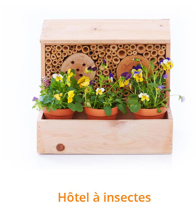Hôtel à insectes
