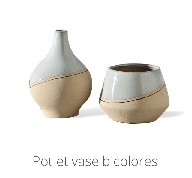 Pot et vase bicolores
