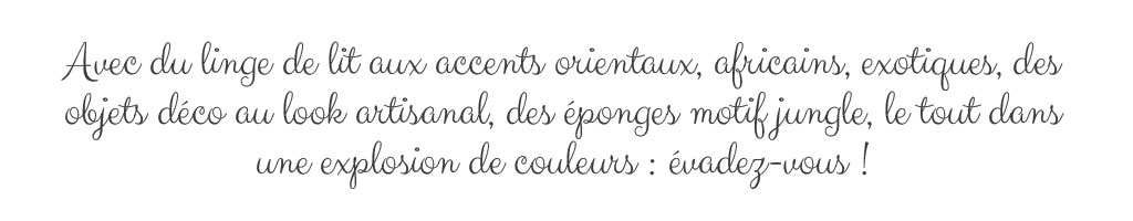 Texte Évasion