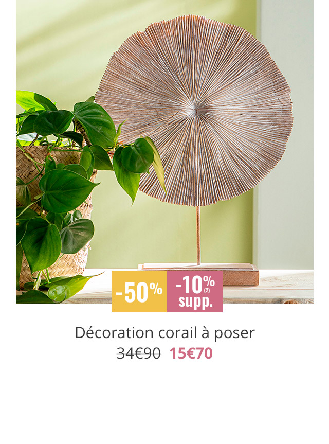 Décoration corail à poser