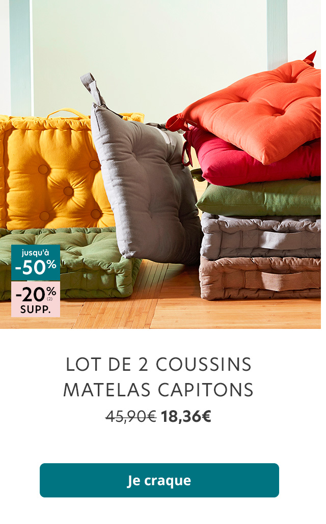 Lot de 2 coussins