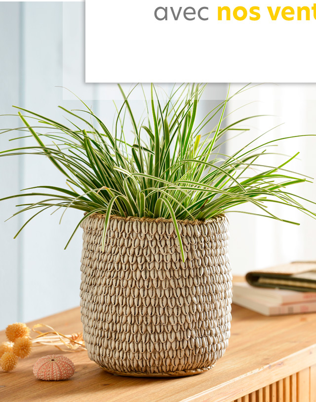 Cache-pot décor coquillages en résine