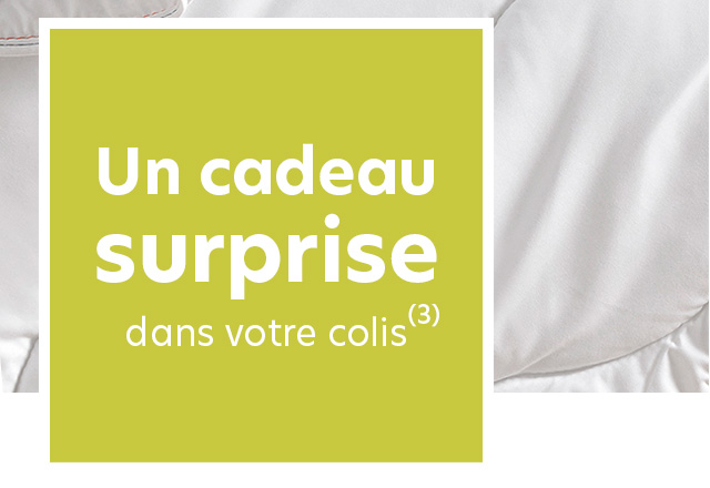 Un Cadeau Surprise