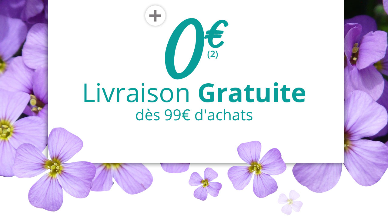 0€, la livraison est Gratuite